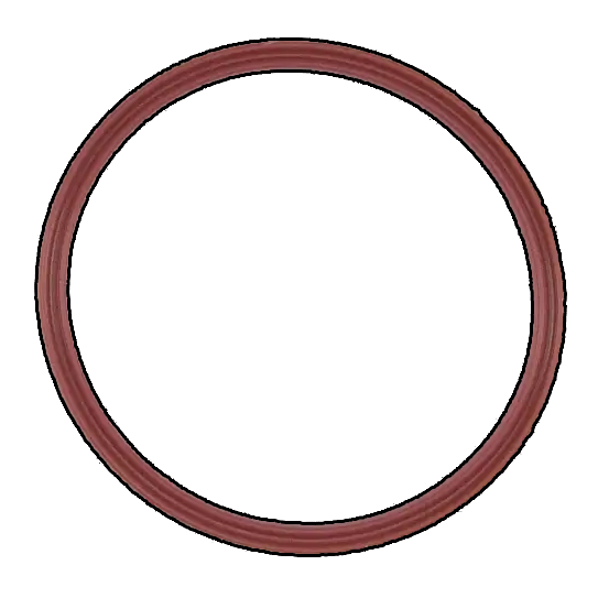 Engine Coolant Thermostat Housing Seal